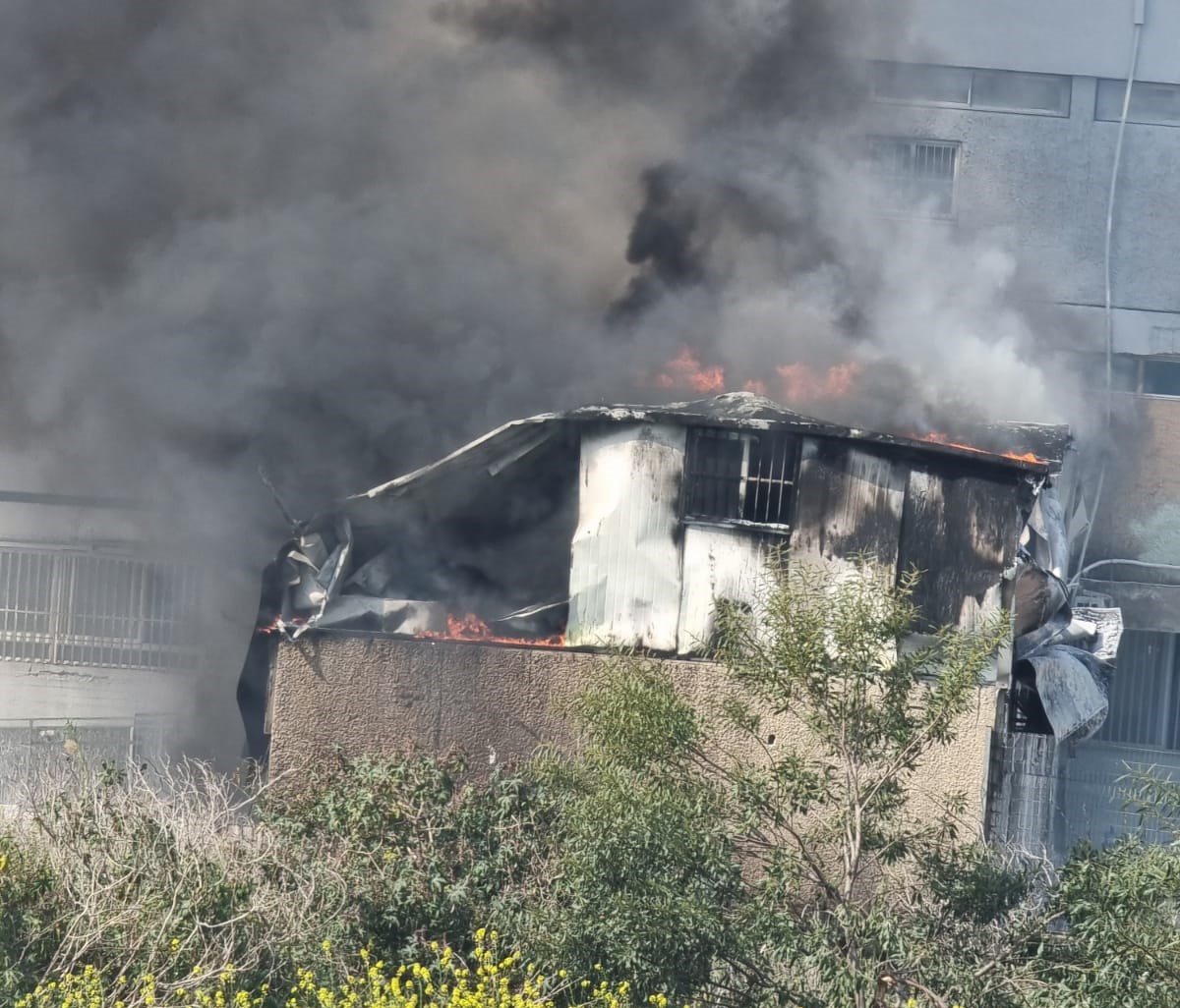 WhatsApp Image 2023-02-28 at 1.56.16 PM (1).jpeg